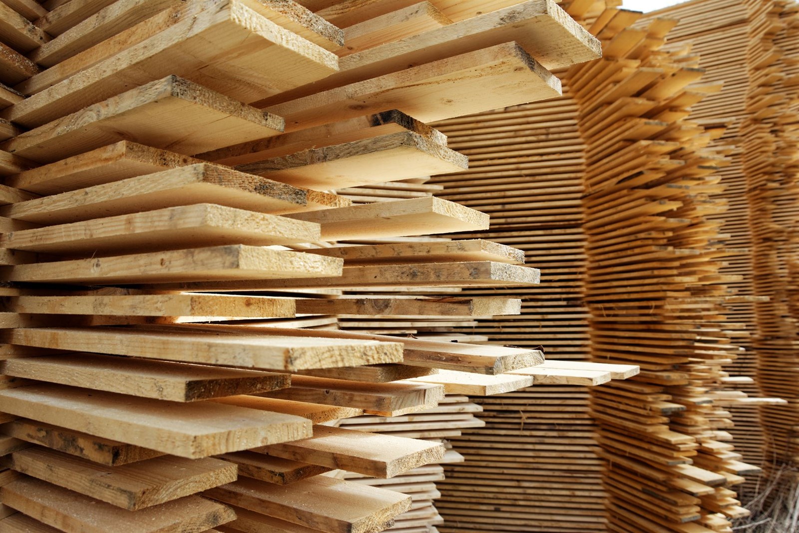 ¿Necesitas madera de castaño en bruto para tus proyectos?
